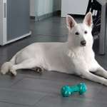 Ersteller:in Gabriele Profilbild