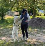 Ersteller:in Kira Profilbild