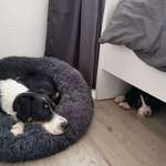 Ersteller:in Kira Profilbild