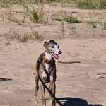 Ersteller:in Frank Profilbild