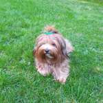 Ersteller:in Oya Profilbild