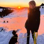 Ersteller:in Alina Profilbild