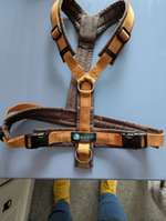 Anny x geschirr-Beitrag-Bild