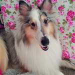 Ersteller:in Sanne Profilbild