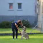 Ersteller:in Jasmin Profilbild