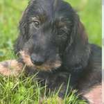 Ersteller:in Myriam Profilbild