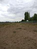 Hundeauslaufgebiet-Am Kirchweg-Bild