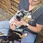 Ersteller:in Jaqueline Profilbild