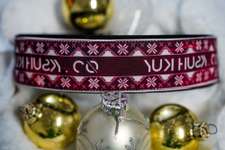 Weihnachtshalsbänder-Beitrag-Bild