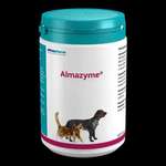 Ständig wiederkehrende Bauchspeicheldrüsenentzündung-Beitrag-Bild