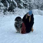 Ersteller:in Moana Profilbild