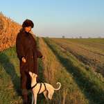 Ersteller:in Sarah Profilbild