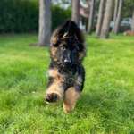 Ersteller:in Silviya Profilbild