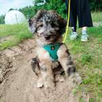 Ersteller:in Mirjam Profilbild