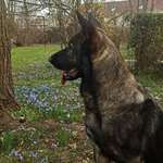 Ersteller:in Benni Profilbild