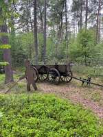 Hundeauslaufgebiet-Walderlebnis Ehrhorn, Erlebnispfad in der Lüneburger Heide.-Bild