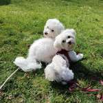 Ersteller:in Janine Profilbild