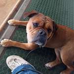 Ersteller:in Kira Profilbild