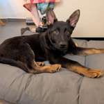 Ersteller:in Marco Profilbild