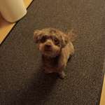 Ersteller:in Christine Profilbild