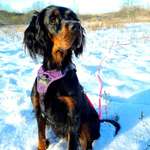 Ersteller:in Kim-Kathrin Profilbild