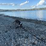 Hundestrand-Klausenhorn-Bild