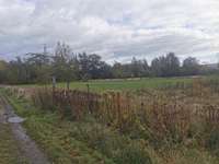 Hundeauslaufgebiet-Langes Feld-Bild