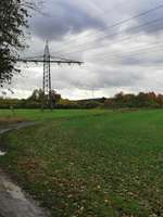 Hundeauslaufgebiet-Langes Feld-Bild