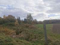 Hundeauslaufgebiet-Langes Feld-Bild