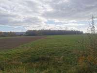 Hundeauslaufgebiet-Langes Feld-Bild