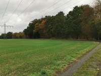 Hundeauslaufgebiet-Langes Feld-Bild