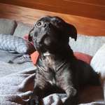 Ersteller:in Johannes Profilbild