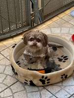 Habt ihr auch einen Balu?-Beitrag-Bild