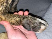 Was könnte das sein?-Beitrag-Bild