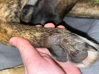 Was könnte das sein?-Beitrag-Bild