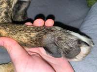 Was könnte das sein?-Beitrag-Bild