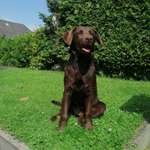 Ersteller:in Margitta Profilbild