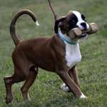 Ersteller:in sabrina Profilbild