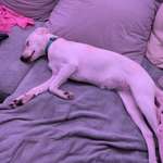 Ersteller:in Stephanie Profilbild