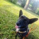 Ersteller:in Sabrina Profilbild