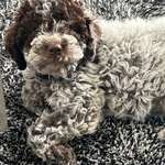 Ersteller:in Kasia Profilbild