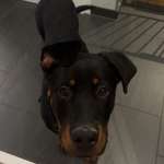 Ersteller:in Laura Profilbild