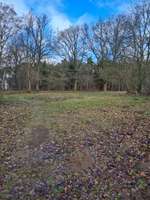 Hundeauslaufgebiet-Krummendorf Feld-Bild