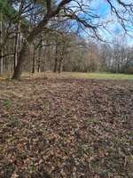 Hundeauslaufgebiet-Krummendorf Feld-Bild