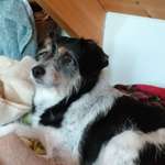 Ersteller:in Renate Profilbild