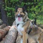 Ersteller:in Selina Profilbild