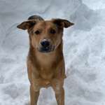 Ersteller:in Carlotta Profilbild