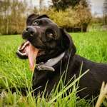 Ersteller:in Ute Profilbild