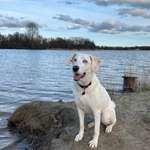 Ersteller:in Alina Profilbild