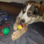 Ersteller:in Ilona Profilbild